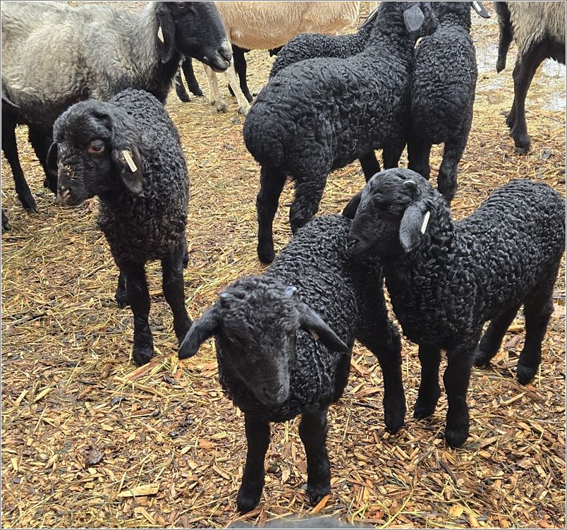 Diversity can be beautiful. Photo: Letty Klein.
